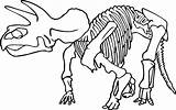 Dinosaur Skeleton Coloring Pages Bones Drawing Rex Printable Head Skull Pirate Animal Kobe Bryant Clipart Triceratops Getdrawings Triceratop Outline Getcolorings sketch template