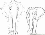 Elephant Dots Connect Asian Dot Worksheet Printable Adults Animals Kids Email Library Clipart sketch template