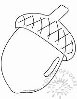 Acorn Clipart Large Coloring sketch template