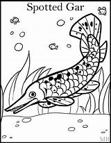 Gar Coloring Alligator Pages Coloringpage Spotted Deviantart Template sketch template