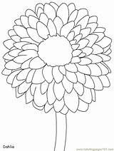 Coloring Pages Flowers Flower Marigold Printable Realistic Dahlia Kids Mexico Print Colouring Traceable Drawing Color Outline Sheets Countries Coloringhome Clipart sketch template