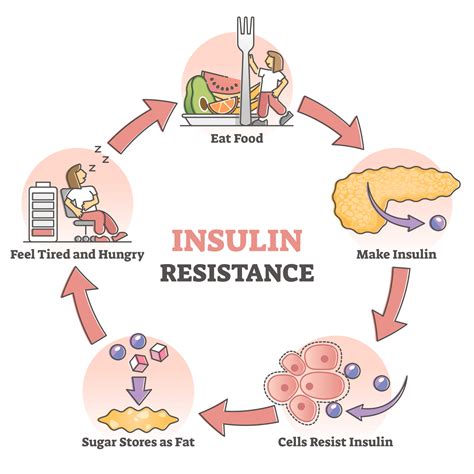 insulin resistance  infertility      dr robert kiltz