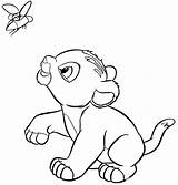 Coloring Lion Cub Pages Kids Print sketch template