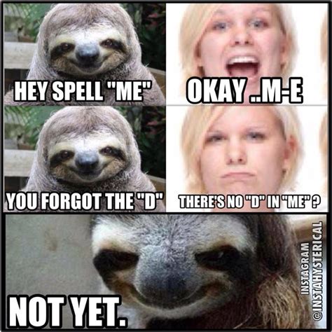 me sloths know your meme