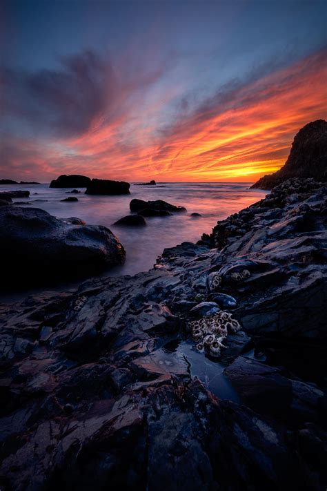 possibly   sunset      oregon coast ocx