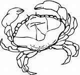 Crab Coloring Colorare Disegni Granchi Kraby Raki Granchio Kleurplaat Bambini Krab Kolorowanki sketch template