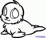 Seal Cute Baby Coloring Drawings Animal Drawing Animals Pages Sea Dragoart Draw Clipart Cartoon Pup Sketches Harp Lion Seals Elephant sketch template
