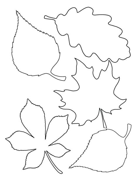 fall leaves coloring pages  tarra burge