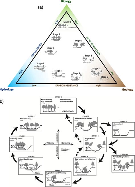 stream evolution triangle  stages  stream evolution cluer  scientific