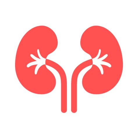 nephrology hospital  navi mumbai consult