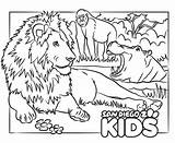 Leeuw Lions Gorilla Gorillas Hippo Kleurplaten Sandiegozoo Topkleurplaat sketch template