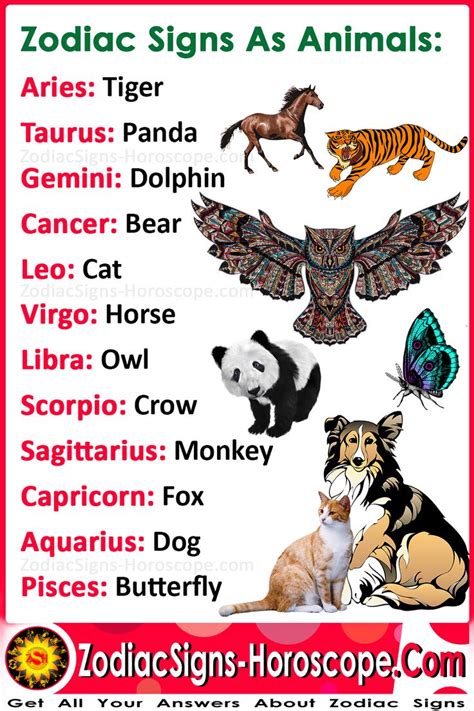 zodiac signs  animals find   zodiac signs zodiac signs