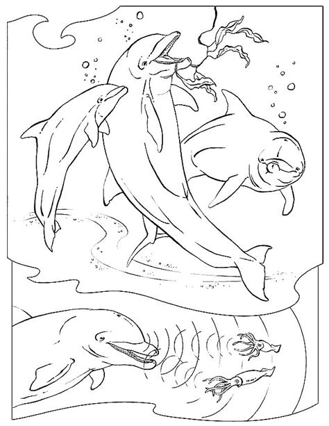 gambar water animals coloring pages home sea coloringpages