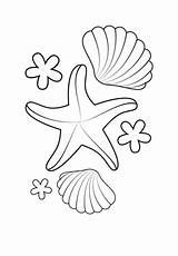 Coloring Starfish Pages Shells Printable Seestern Ausmalbilder Mermaid Muscheln Sea Shell Und Print Supercoloring Crafts Template Mandala Zee Fish Drawing sketch template