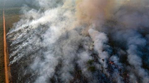 amazon  brazil   fire  bad   bbc news
