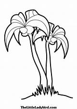 Tree Simple Drawing Getdrawings Palm sketch template