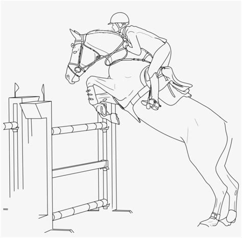 collection  hunter jumper horse coloring pages horse show