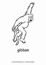 Gibbon Colouring Pages Coloring Animal African Activityvillage Animals sketch template