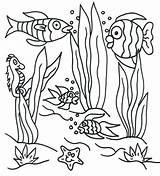 Coloring Underwater Pages Sea Under Scene Printable Ocean Seaweed Drawing Colouring Landscape Clipart Easy Print Adults Floor Fish Color Scenes sketch template
