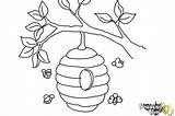 Beehive Coloring Bees Abejas Abeja Drawingnow sketch template