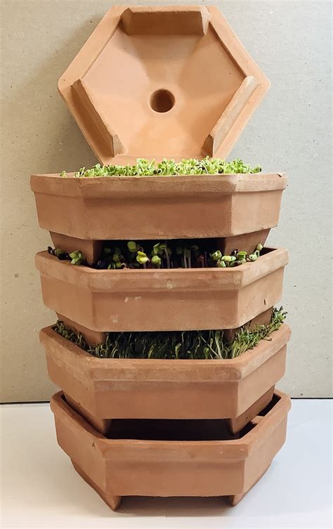 geo terracotta sprouting tower mumms sprouting seeds