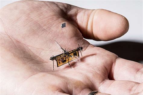 researchers including  indians build worlds  wireless insect sized drone