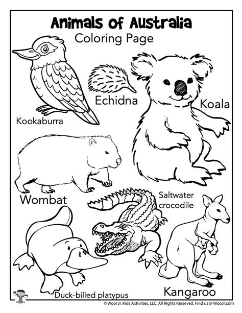australia animals coloring page woo jr kids activities childrens