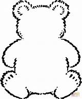 Oso Contorno Peluche Coloring Bears Silhouette sketch template