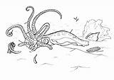Kraken Sketchite sketch template