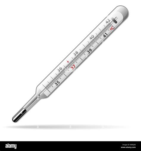thermometer medical  glass mercury thermometer  measuring