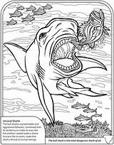 Kleurplaat Haai Moeilijk Sharknado Dinosaurus Sharks Adults Vulkaan Coloriage Kleurplaten Dover Doverpublications Downloaden sketch template