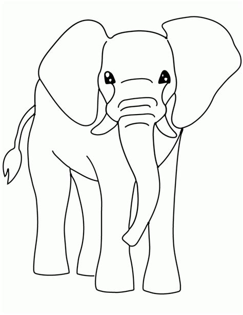 printable elephant coloring pages  kids snake coloring pages