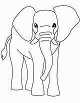 Elephant Coloring Pages Printable Kids Elephants Animal Bestcoloringpagesforkids A4 Cat sketch template