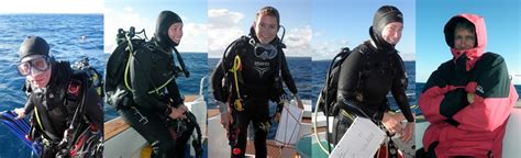cold water diving  sea surface temperature influences coral reefsliving oceans foundation