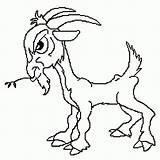 Bode Cabras Cabra Billy Troll Uma Goat sketch template
