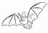 Bat Coloring4free Invertebrates Vertebrates sketch template