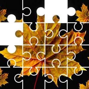 fall leaf study jigsaw puzzle  images jigsaw puzzles autumn