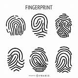 Fingerprint Illustration Set Vexels Ai Vector Vectors sketch template