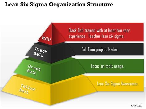 0514 Lean Six Sigma Organization Structure Powerpoint