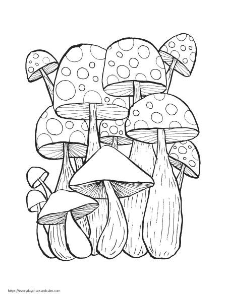 fun mushroom coloring pages  kids adults
