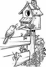 Bird Drawing Coloring Drawings House Pages Birdhouse Houses Pyrography Fence Birdhouses Patterns Stamps Pencil Easy Birds Line Para Burning Wood sketch template