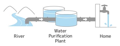 purify water   water purification methods