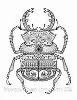 Scarab Coloring Pages Template sketch template