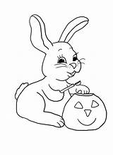 Halloween Bunny Pumpkin Coloring Pages Head Carving Sheet Clipartqueen sketch template