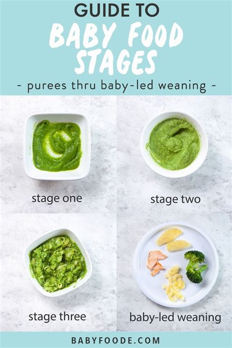 baby food stages  easy  read  complete guide explaining