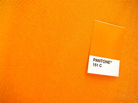 art pages pantone  swatch  pinterest