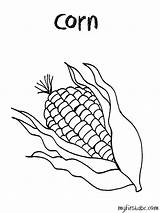 Corn Coloring Drawing Stalk Template Stalks Pages Indian Getcolorings Getdrawings Library Clipart Popular Worksheet sketch template