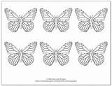 Multiple Monarch Onelittleproject sketch template