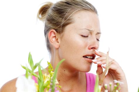 Top Tips For Fighting Allergies