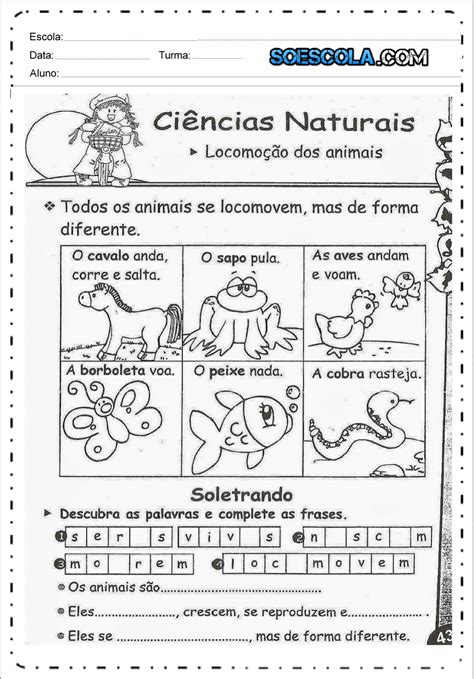 atividades de ciências 3 ano animais — sÓ escola